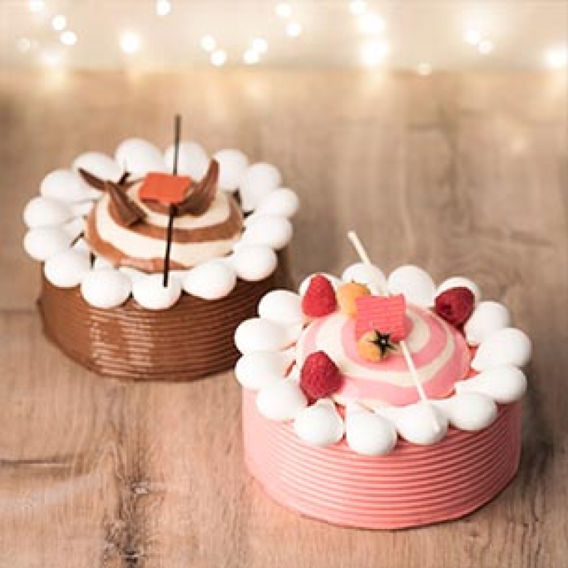 Vacherin vacherin au chocolat vacherin framboise dessert glacé entremets glacé dessert glacé de noel dessert original pour les fêtes noel 2019 réveillon de noel mof meilleur ouvrier de france à rennes patisserie le daniel maison le daniel laurent le daniel patisserie à rennes ille et vilaine bretagne
