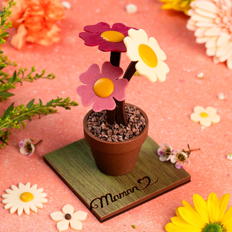 Pot de fleurs pot de fleurs fête des mères Laurent Le Daniel Rennes MOF chocolat idée cadeau bonne fête maman