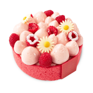 charlotte framboise Rennes Laurent Le Daniel Meilleur Ouvrier de France